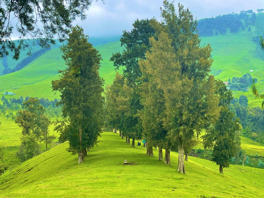 AfricaFactsZone's tweet photo. The Congo You Don't See on TV

Masisi, DR Congo 🇨🇩 https://t.co/Z4YGSibLgr