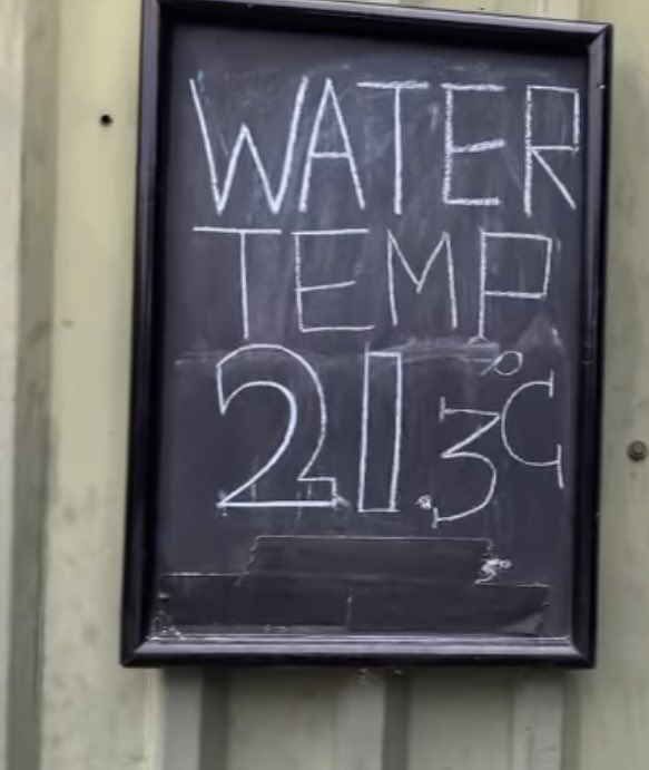 lifeguards tweet media