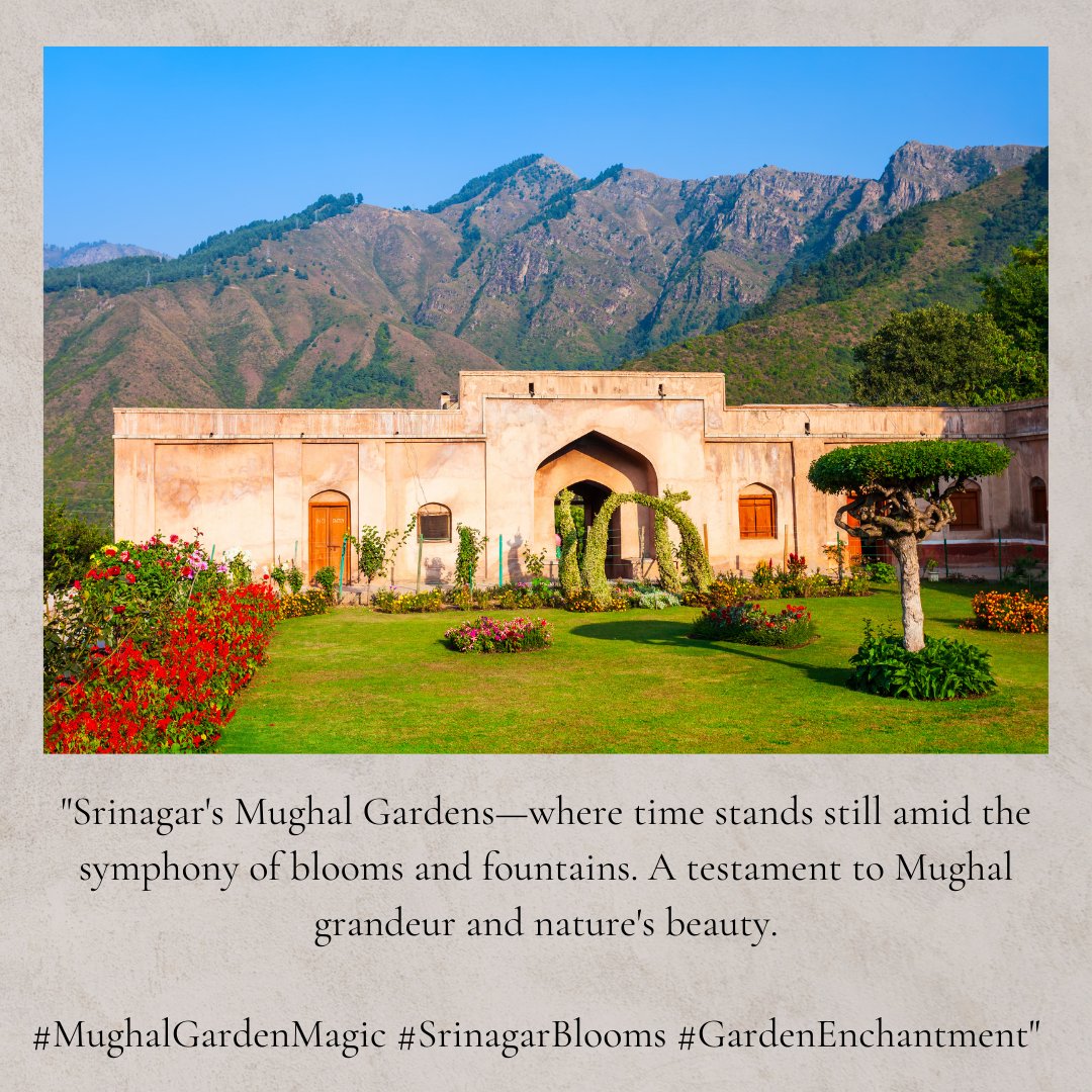 Srinagar, a jewel cradled in the embrace of the Himalayas. Every corner whispers tales of beauty and serenity. 

#MyTourBox #SrinagarMagic #Kashmir #HimalayanEscape #HeavenOnEarth #IncredibleIndia 

Dream. Discover. Explore with MyTourBox: +91 9319930107 / info@mytourbox.com