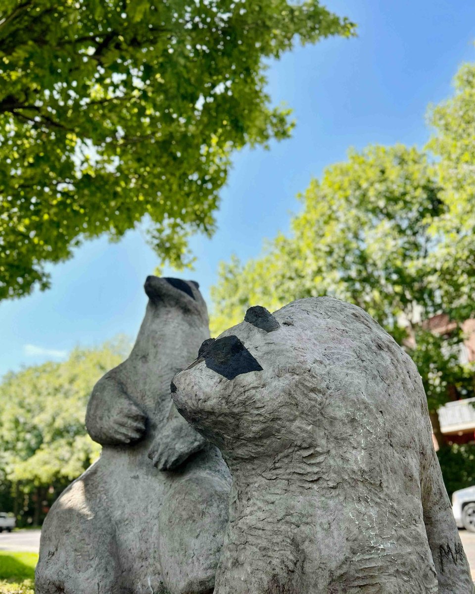 intheglebe's tweet photo. Who knows where these little critters are tucked away in the Glebe? 🦝🐾
Bonus points if you take a picture with them and tag @intheglebe 😍
#intheglebe #hiddentreasures #statuesintheglebe #ottawastatues #ottawa https://t.co/xrPCsD7rlT