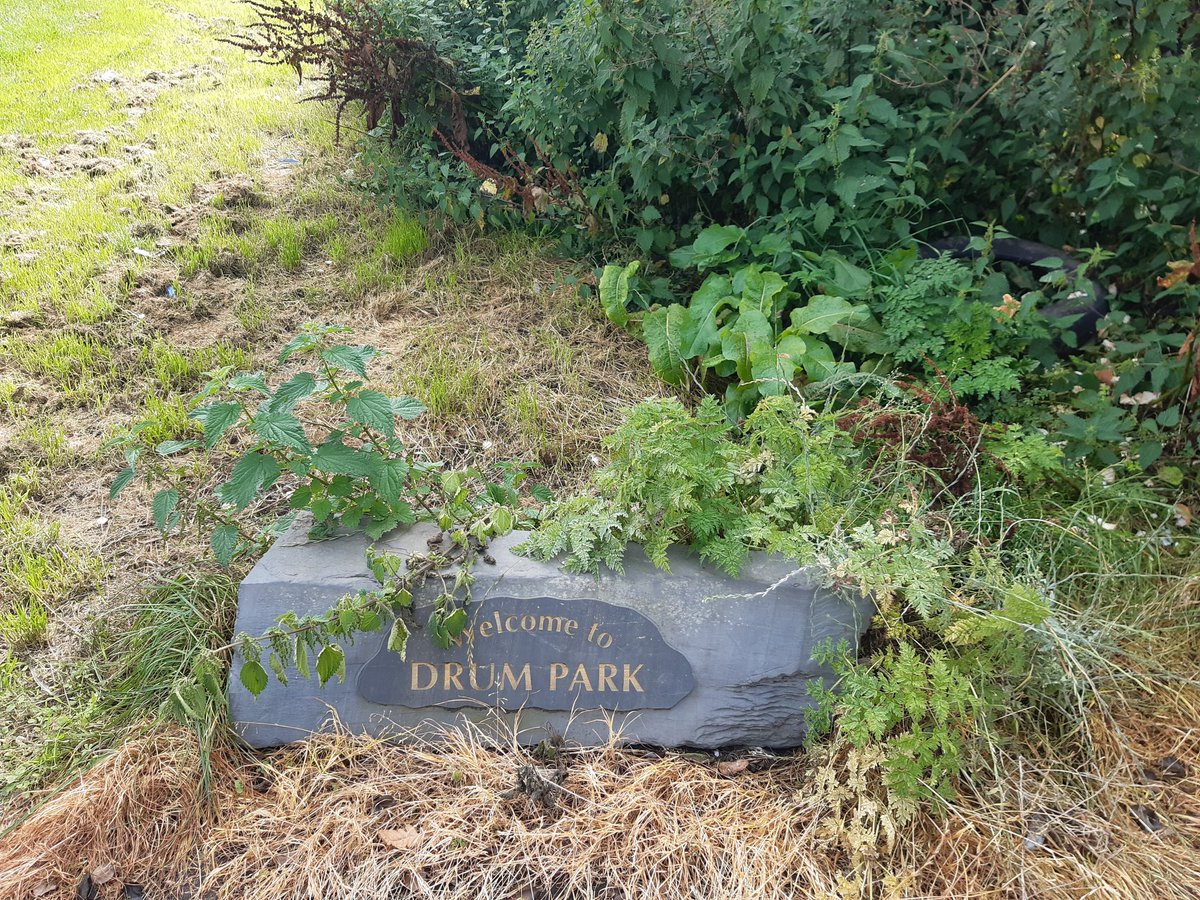 davebhoybell's tweet photo. @edinhelp https://t.co/xmzyly6ZLH