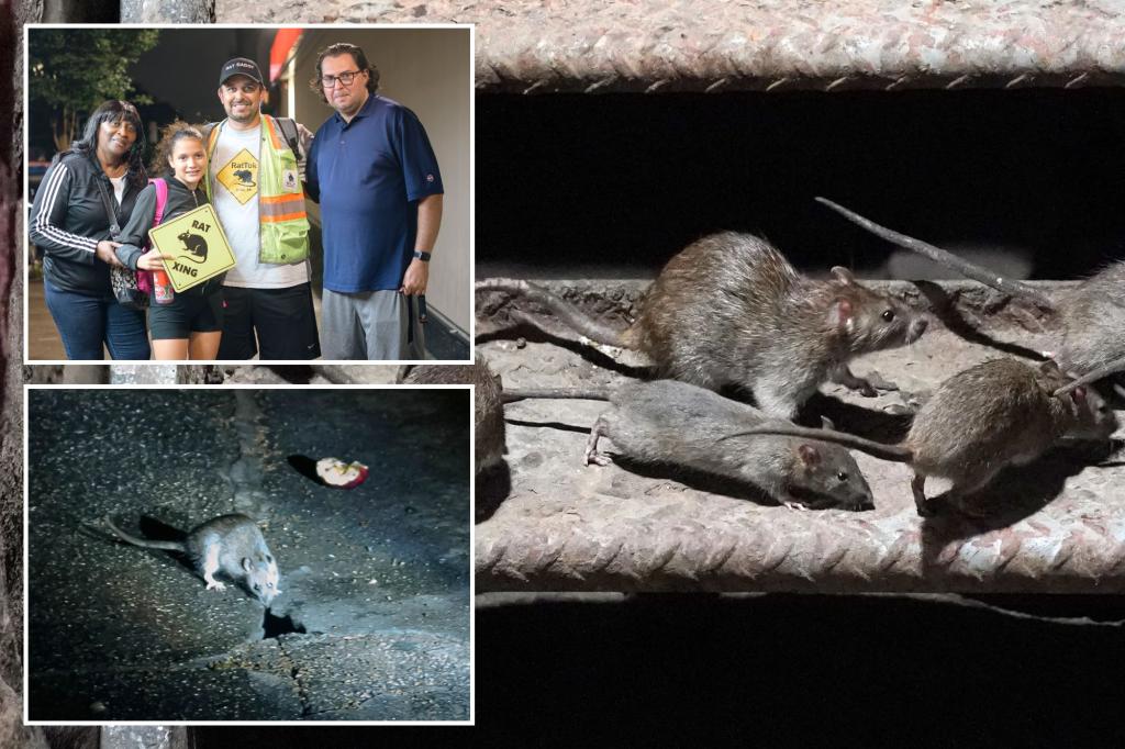 nypost's tweet photo. NYC tourists seeking authentic experience take late-night rat tours https://t.co/vvKiUD0ju8 https://t.co/ijUb5j7MkN