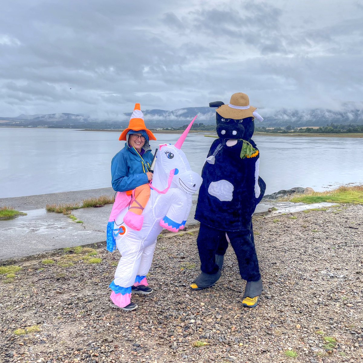 robtomlin's tweet photo. Get the Guinness Book of Records on the sodding phone… cow smashes the ‘under-an-hour-trot’@alnessparkrun 🐄🌻 #loveparkrun 🌳 @parkrunUK https://t.co/NO8VWTi3gW