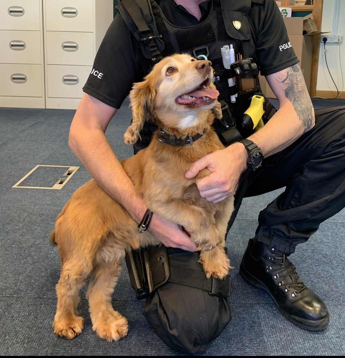 It’s @NationalDogDay today so we want to show our appreciation to our colleagues in @DerbysDogPolice who do a fantastic job supporting us on our operations as well as providing county wide cover assisting our LPU colleagues. #NationalDogDay