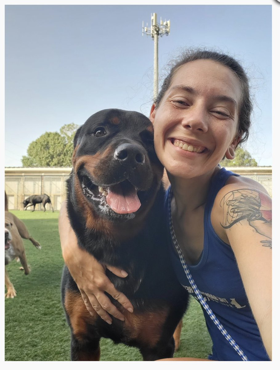 Judyjudymoore's tweet image. Happy #NationalDogDay to my favorite furball and decided Dog Daycare Teachers’ Pet! Ashley and Maddison are his favorites! #rottweiler #dogdaycare