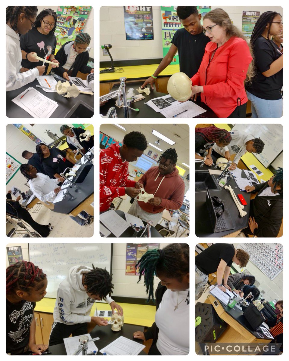 Academy for Advanced Studies (@aas_hcs) on Twitter photo Human Anatomy associates in Ms. Moores class are using forensic techniques to identify the gender, race, and height of human remains. #associateexperience #empoweringtomorrow <a href="/DLinnBwell/">中年独身男_tokyo</a> <a href="/Toni_Collie/">Toni Collie</a> <a href="/sheppard06/">Sheppard 🎎 🌂</a> @shaykele78 Human Anatomy associates in Ms. Moores class are using forensic techniques to identify the gender, race, and height of human remains. #associateexperience #empoweringtomorrow <a href="/DLinnBwell/">中年独身男_tokyo</a> <a href="/Toni_Collie/">Toni Collie</a> <a href="/sheppard06/">Sheppard 🎎 🌂</a> @shaykele78