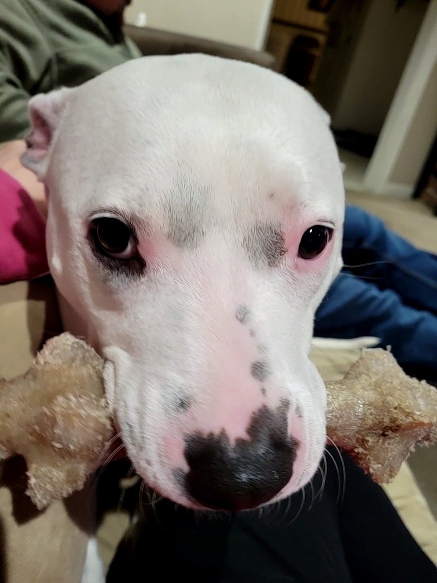 monkey7280's tweet photo. @clevelanddotcom My baby girl Mya https://t.co/IqdVUfj5WA