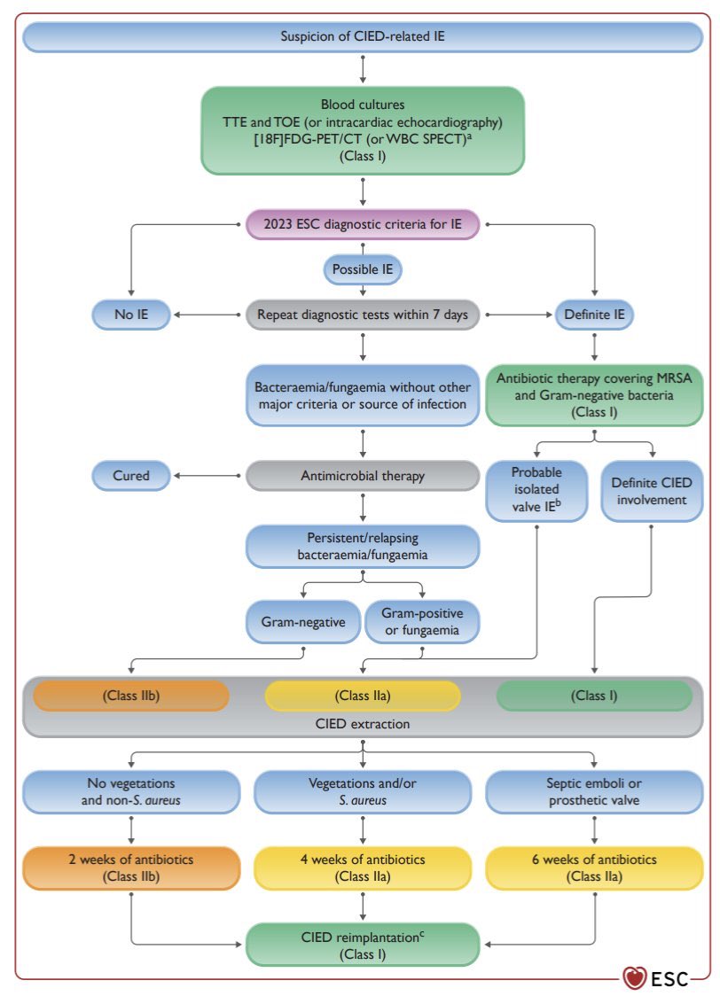 Lukas Kaiser (@lukaskaiser_md) on Twitter photo In case of relapsing/persistent bacteraemia remember to get all cied‘s out! #ESCCongress #guidelines #endocarditis #leadextraction
<a href="/EPTIG/">Eike Tigges</a> <a href="/DaUnChung_MD/">Da-Un Chung, MD | FESC</a> <a href="/drhakmi/">Samer Hakmi</a> <a href="/EnidaRexha_MD/">Enida Rexha</a> <a href="/Mel_Gunawardene/">Melanie Gunawardene</a> In case of relapsing/persistent bacteraemia remember to get all cied‘s out! #ESCCongress #guidelines #endocarditis #leadextraction
<a href="/EPTIG/">Eike Tigges</a> <a href="/DaUnChung_MD/">Da-Un Chung, MD | FESC</a> <a href="/drhakmi/">Samer Hakmi</a> <a href="/EnidaRexha_MD/">Enida Rexha</a> <a href="/Mel_Gunawardene/">Melanie Gunawardene</a>