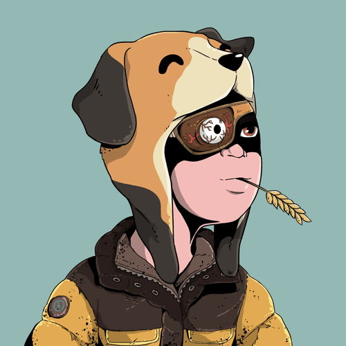 Himalaya Sales 🤖 tweet media