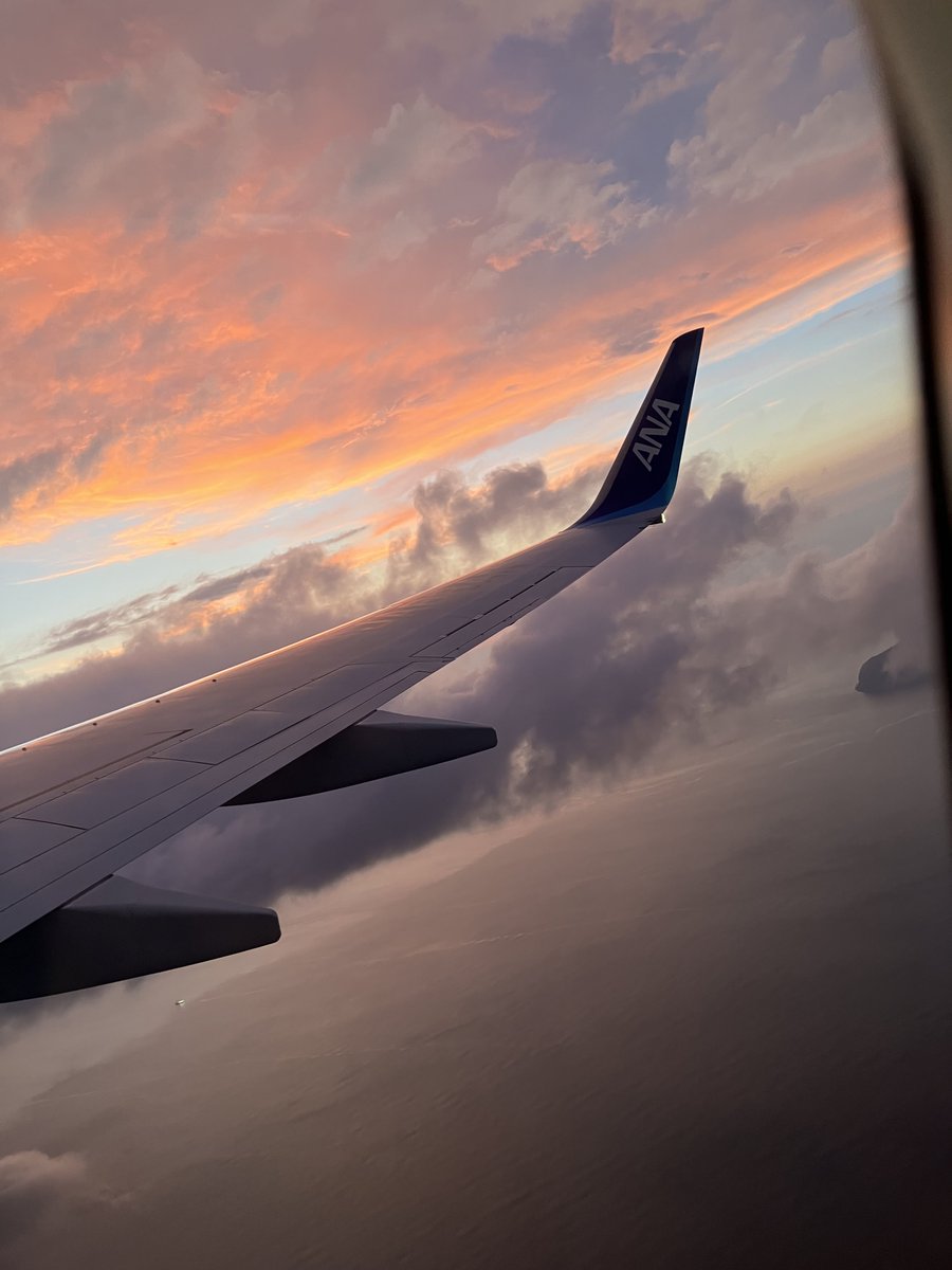 「夕方飛行機乗って無事は…だてを後にしました!なるぴのぼっち旅・完!! 」|なるぴの❄️のイラスト