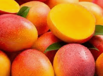NNnadramija's tweet image. En 1995, Perú exportó US$9,3M de mangos 🥭 (2.2% de exportaciones mundiales)

En 2021, Perú exportó US$395M (9.8% de exportaciones mundiales)

🇵🇪 es el tercer exportador mundial de mangos, detrás de 🇹🇭 Tailandia y 🇲🇽 México.