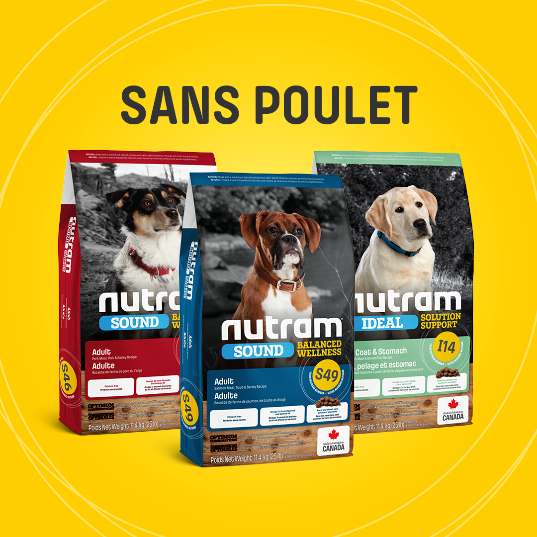 Nutram sait que chaque chien est unique. Nous avons donc créé de nouveaux produits sans poulet pour tous les goûts et besoins alimentaires. Faits d’ingrédients de qualité supérieure pour une alimentation équilibrée. 

En savoir plus : nutram.com/ca/products/dog