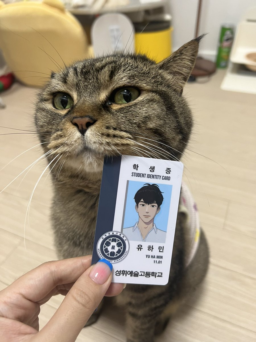 ollodue's tweet photo. 귀여운 검정고양이 하민이 학생증
노아랑 교환하실 플리분 계신가요 😹

#플레이브 #PLAVE_1st_Mini_Album #PLAVE https://t.co/uCRsAc1hJT