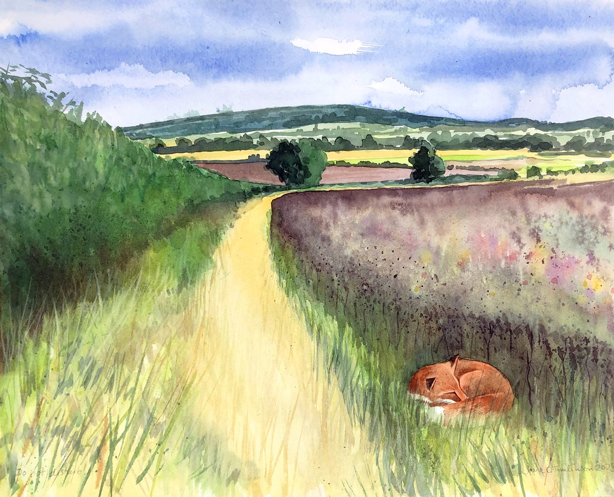 JaneSunflower's tweet photo. "Do not disturb!" - a #painting I made ystrdy aftr a walk on this path on Thurs.
Blenheim Estates want to build a PV power station here: 11miles long &amp; 3.4miles wide. How'll that fox make a living if it's all fenced off? #stopbotleywest #foreverfields #FoxOfTheDay @misteredgeley https://t.co/yfWkLtibY3