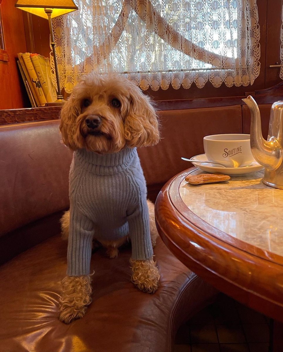 "Coffee and Cashmere" - Thank you to Reggie for coming