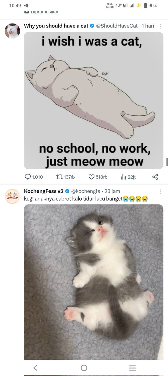 yesmymoon's tweet photo. @kochengfs Bisa samaan kucingnya rebahan🤣 https://t.co/NVEJ9DWhEN