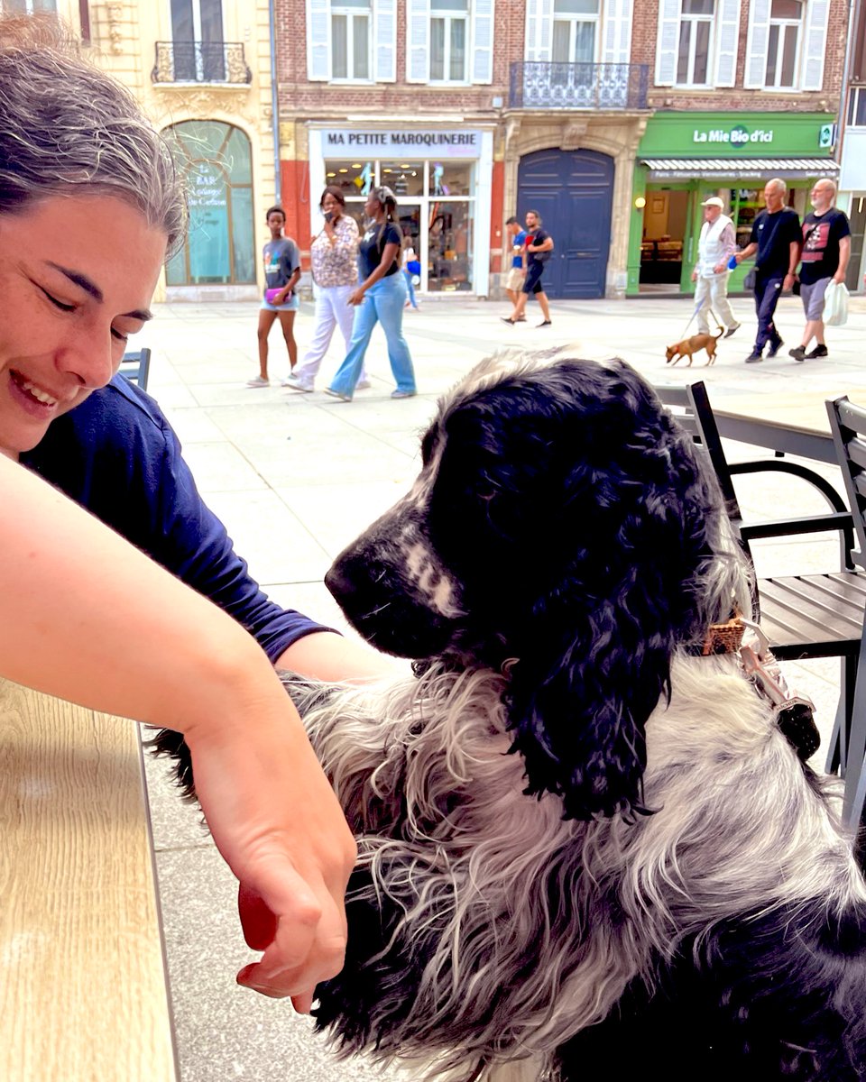 ROXANE66's tweet image. Sherlock veut participer à la journée mondiale du chien au Tower 🐶🐶🌞🌞🍧🍧🍹🍹 #Amiens #LesPotes #LaBD #LesSciences #Toussa 
Poke @E_B88 💪🏻💪🏻🙏🙏📖📖