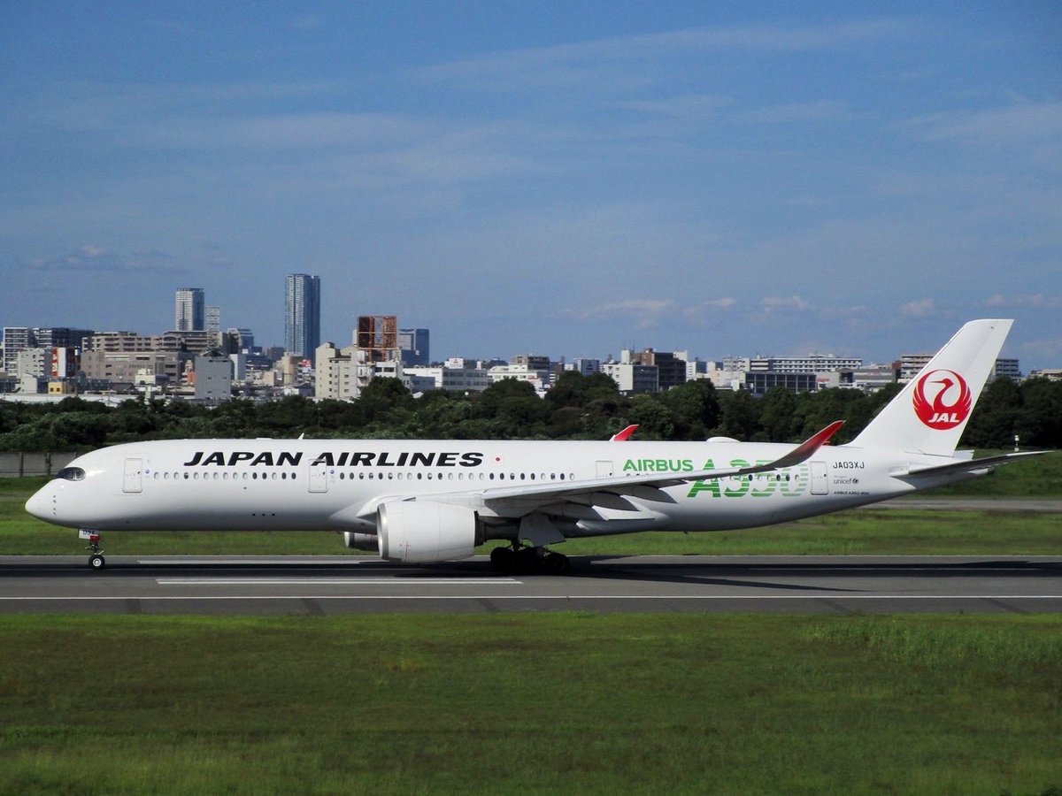 今日は那覇便で伊丹に緑のたぬきが来るみたいですね〜
おやすみなさいまし🌙