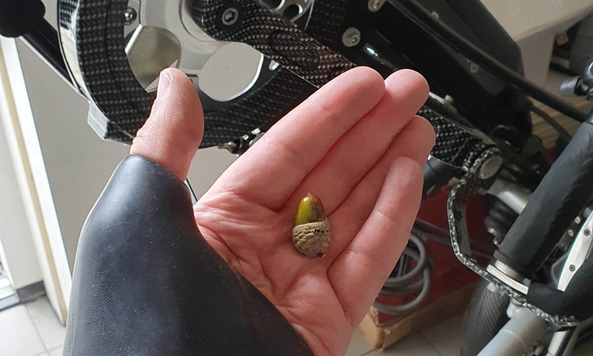 Schrijven4Fun's tweet photo. Kleuter van vrienden die ontdekt dat ik een #amputatie heb:
"Jij hebt geen been hè?"
Ik: "Klopt, dat heb je goed gezien."
Kleuter: "Ok jammer, hier heb je een eikel."
Ik ging stuk 😆😅😂...
▪︎▪︎▪︎
#kinderlogica #amputeehumor #eikel #beenamputatie https://t.co/Wr5AObyzSQ