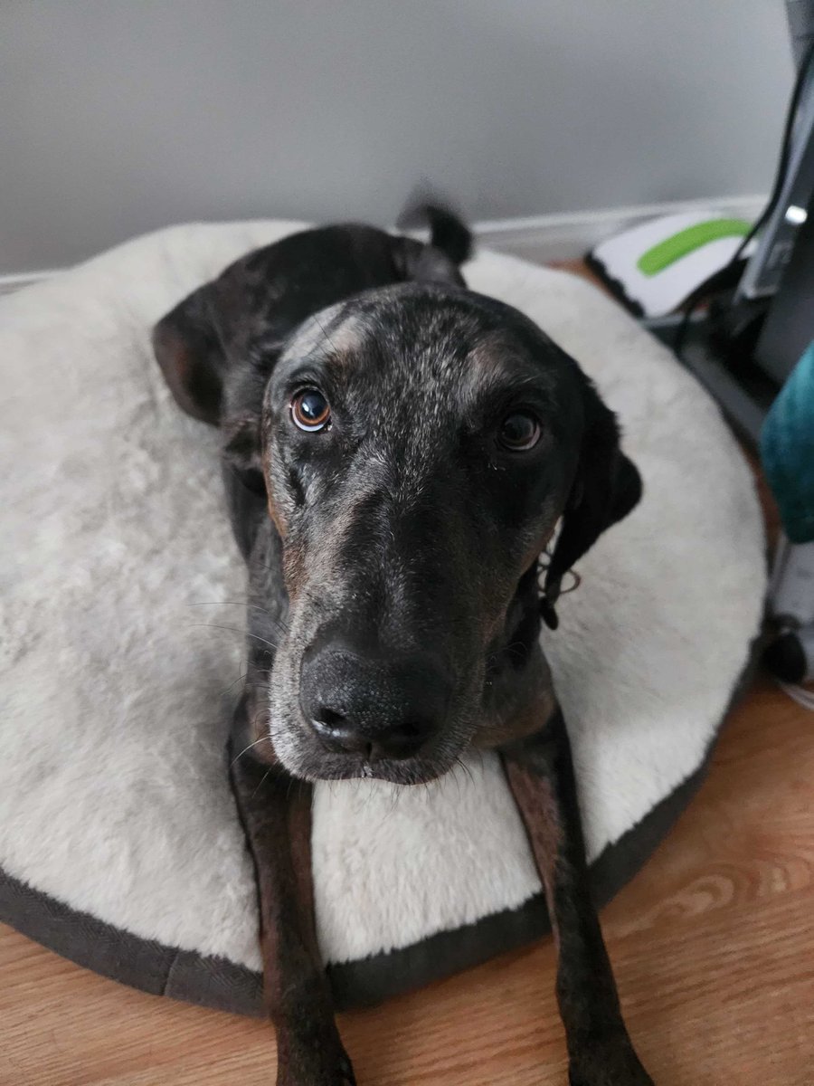 VERB Interactive tweet media