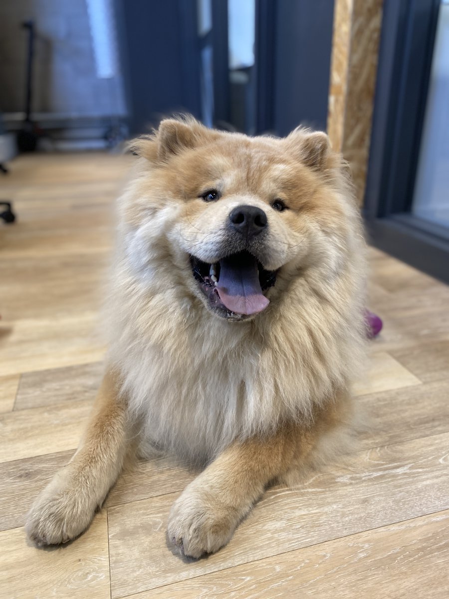 VERB Interactive tweet media