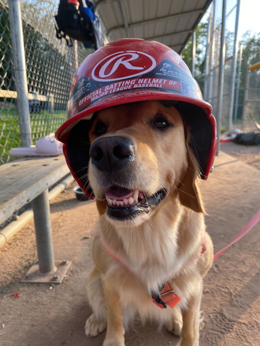 VERB Interactive tweet media