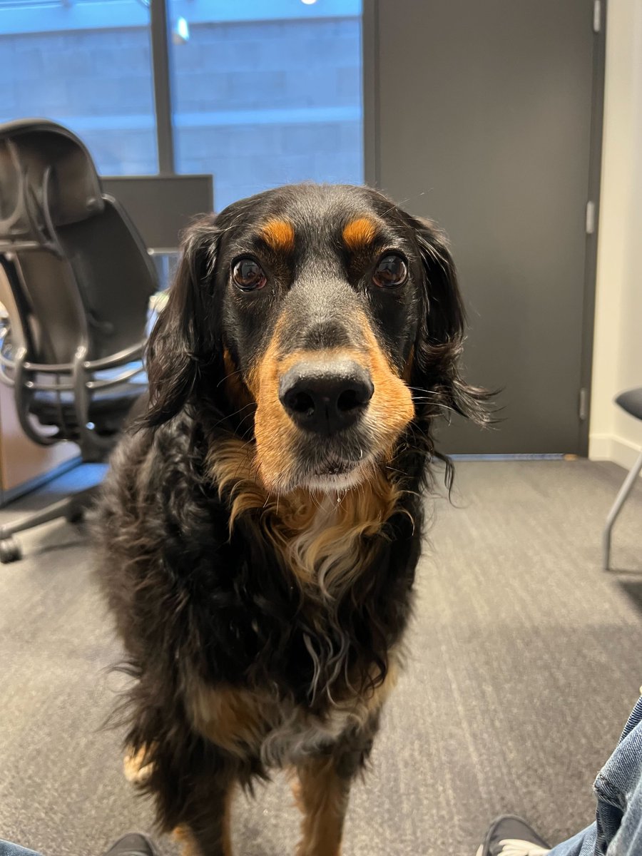 VERB Interactive tweet media