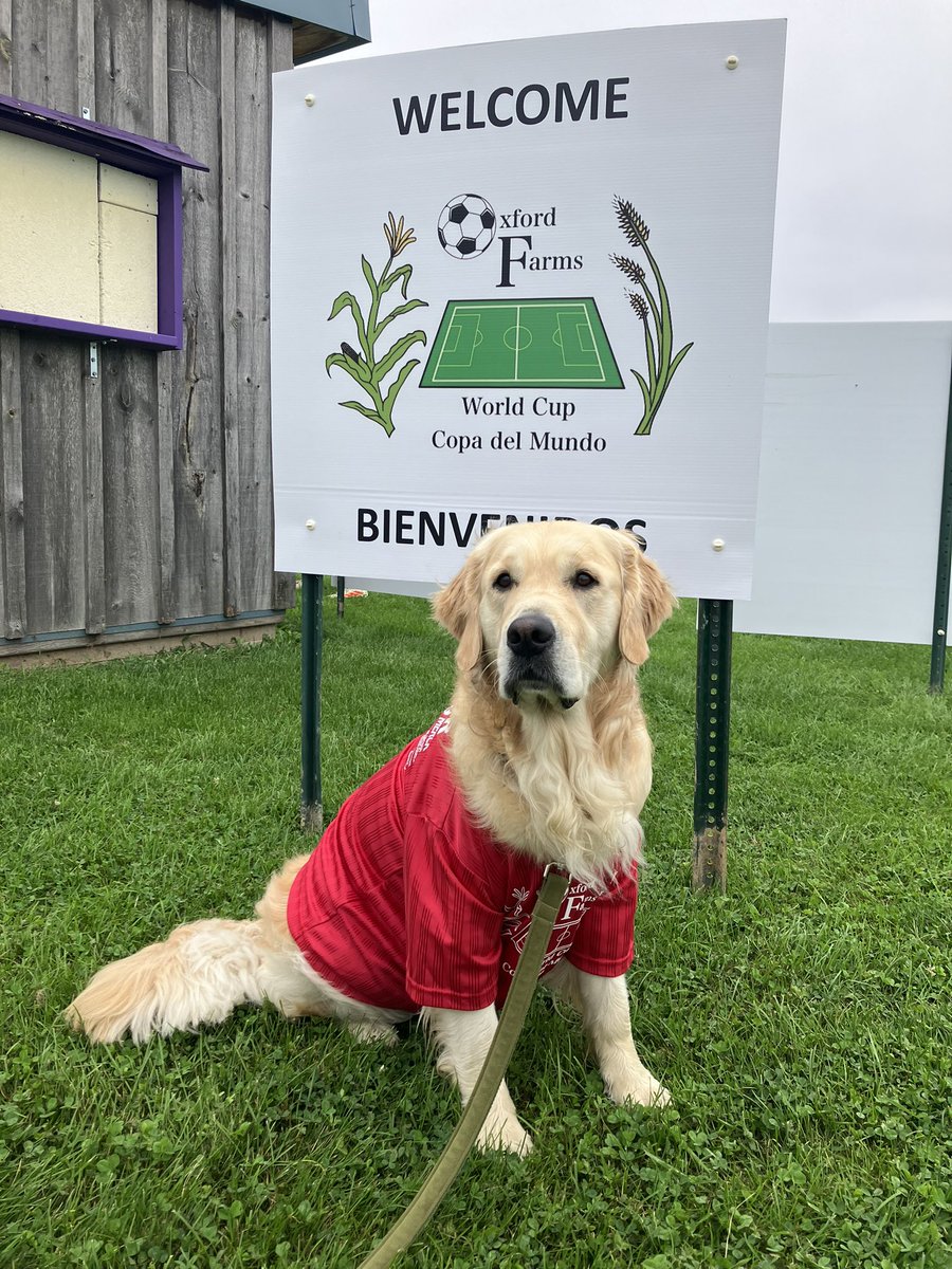 Our cutest volunteer is ready for some soccer!