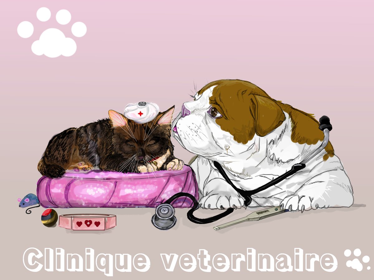 DercetoA's tweet photo. Thank to who brings health and care to our fluffy friends. https://t.co/Y6kzJ6Rj1x