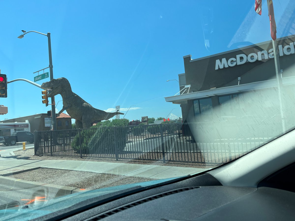 Donna Molinek tweet media