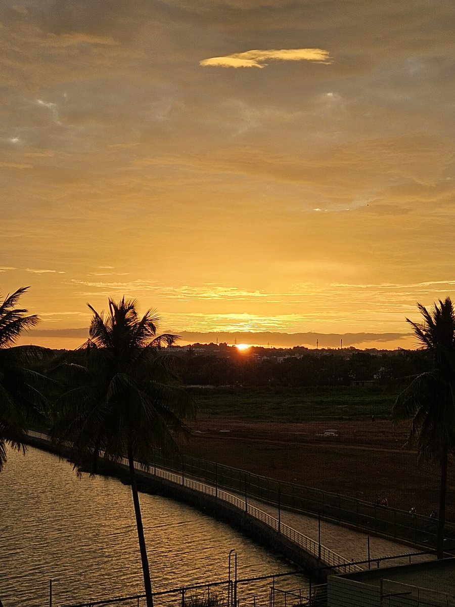 Gayathri_Nathan's tweet photo. #SunsetYellow https://t.co/cKp1bxPpjr