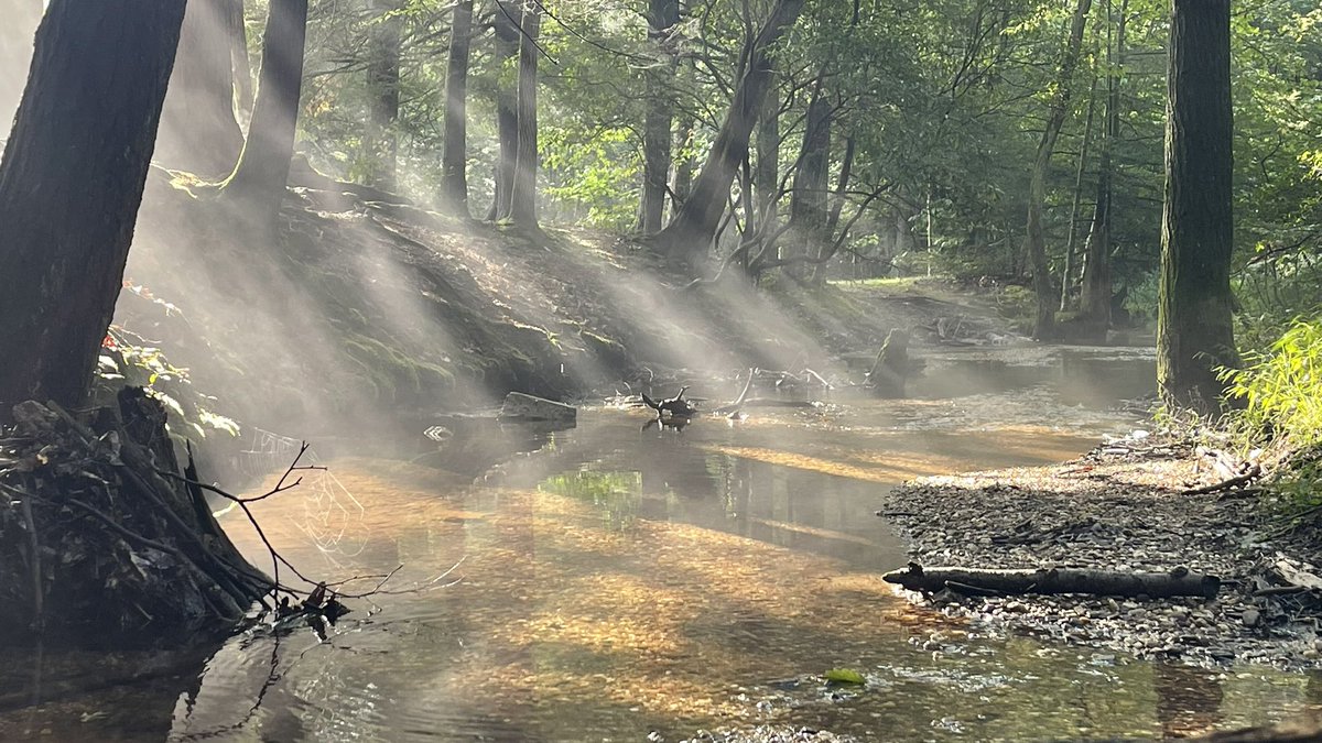 BadTony1138's tweet photo. #StateParks @PennsylvaniaGov #Pennsylvania #Barnsville #camping #photo #photooftheday #photography #photographer #iphonephotography #iPhone12max #iPhone #nature #PAStateParks
Gorgeous day camping at #LocustLake State Park @PADCNR https://t.co/Pz3KKC8v46