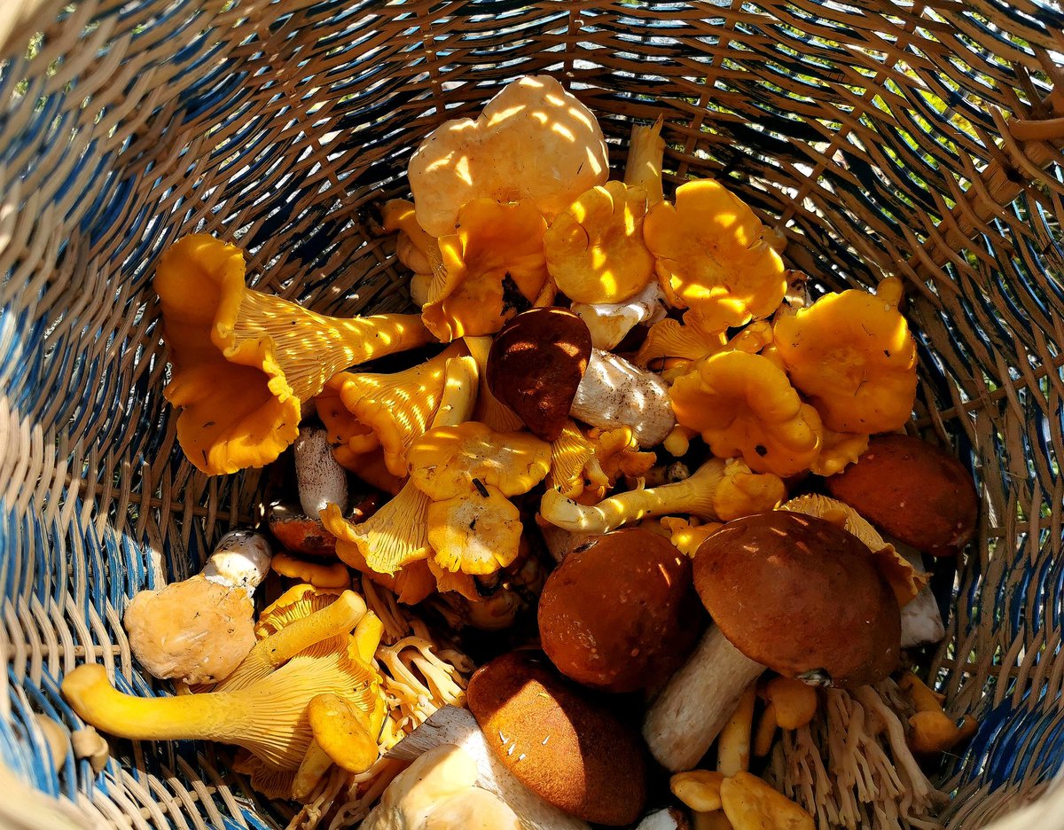 Hyvää Suomen luonnon päivää!