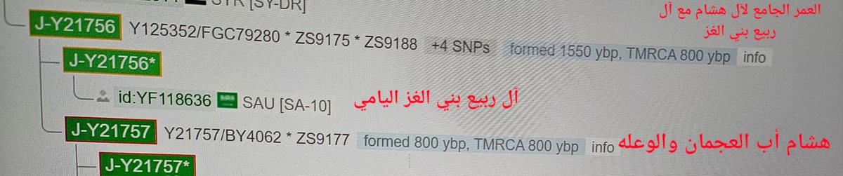 حساب لإعلان نتائج التحور - j1-BY8-ZS4062 tweet media