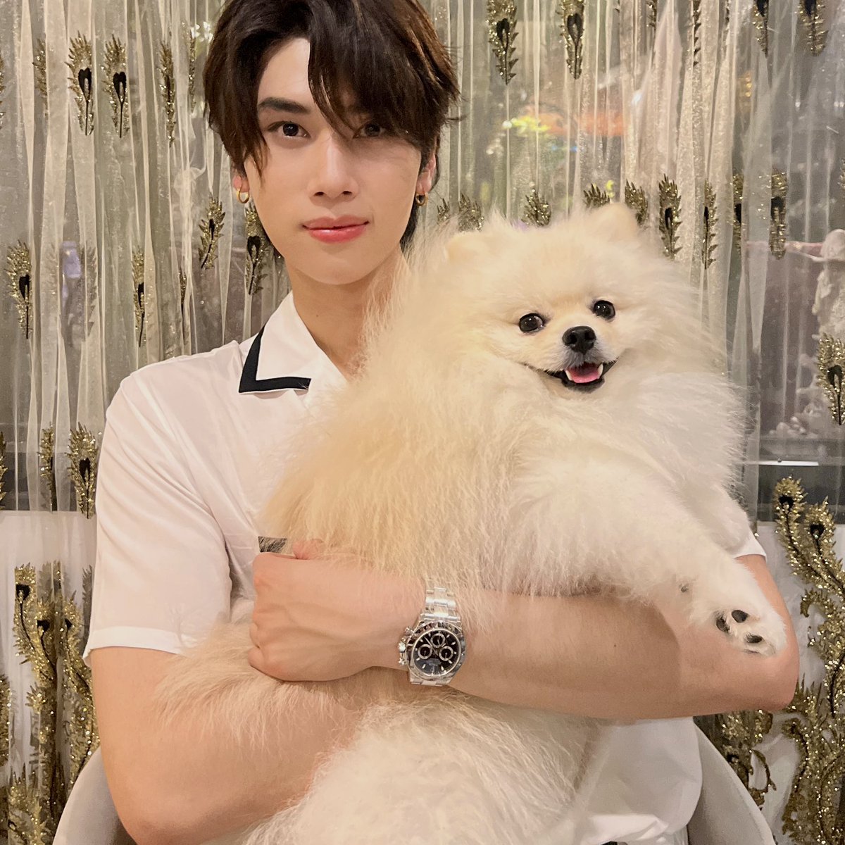 dunknatachai's tweet photo. happy international dog day 🐾💕✨🐶 https://t.co/ND0iunEs6o