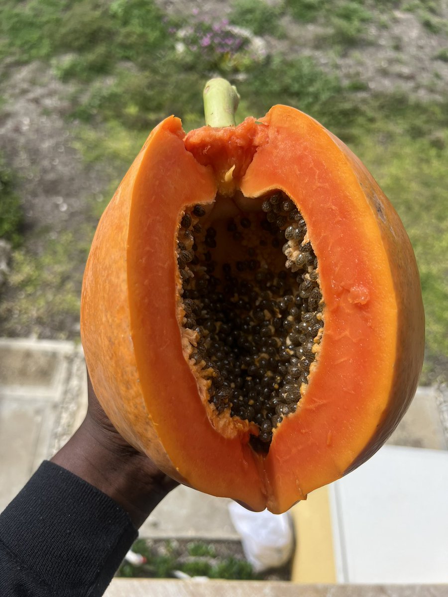 Starting today off right 🙏🏾 I don’t wanna hear no papaya slandering on the TL 😭