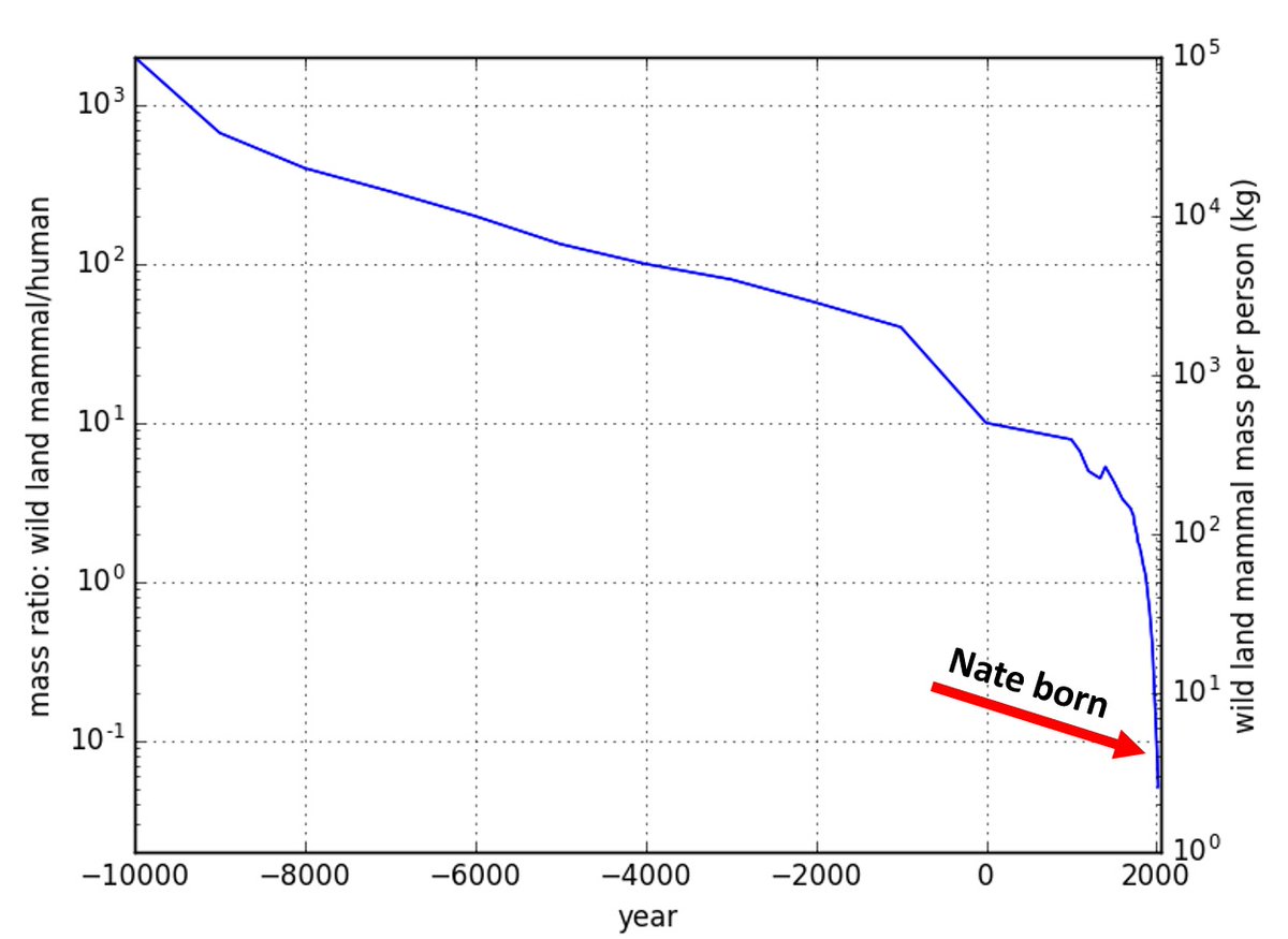 NJHagens's tweet photo. Here's a graph of Tom Murphy's that I posted in yesterday's Frankly. It shows the weight of terrestrial (land) wild mammals per human being over last 12k years. The slow decline from 10k BC to 1800 CE can mostly be attributed to growth in human population. But since 1800 to today there has been a parallel (steep) decline in animal biomass in parallel to a growing human population. This has been due, variously, to: human expansion on animal habitat, hunting, ecosystem degradation, chemicals, pollution, etc.  The general arc: 12,000 years ago there was approximately 100,000 lbs of wild animal biomass for every human alive at the time==>by 1800 that had declined to around 200 lbs per human. 

Today, for each of the 8 billion humans on Earth, there remains about 2 kilograms (5 lbs) of wild animals. Like 2 squirrels. Or a big rabbit. 

Think about it.

(Tom Murphy's post/sources: https://t.co/0cvagRO3IX)