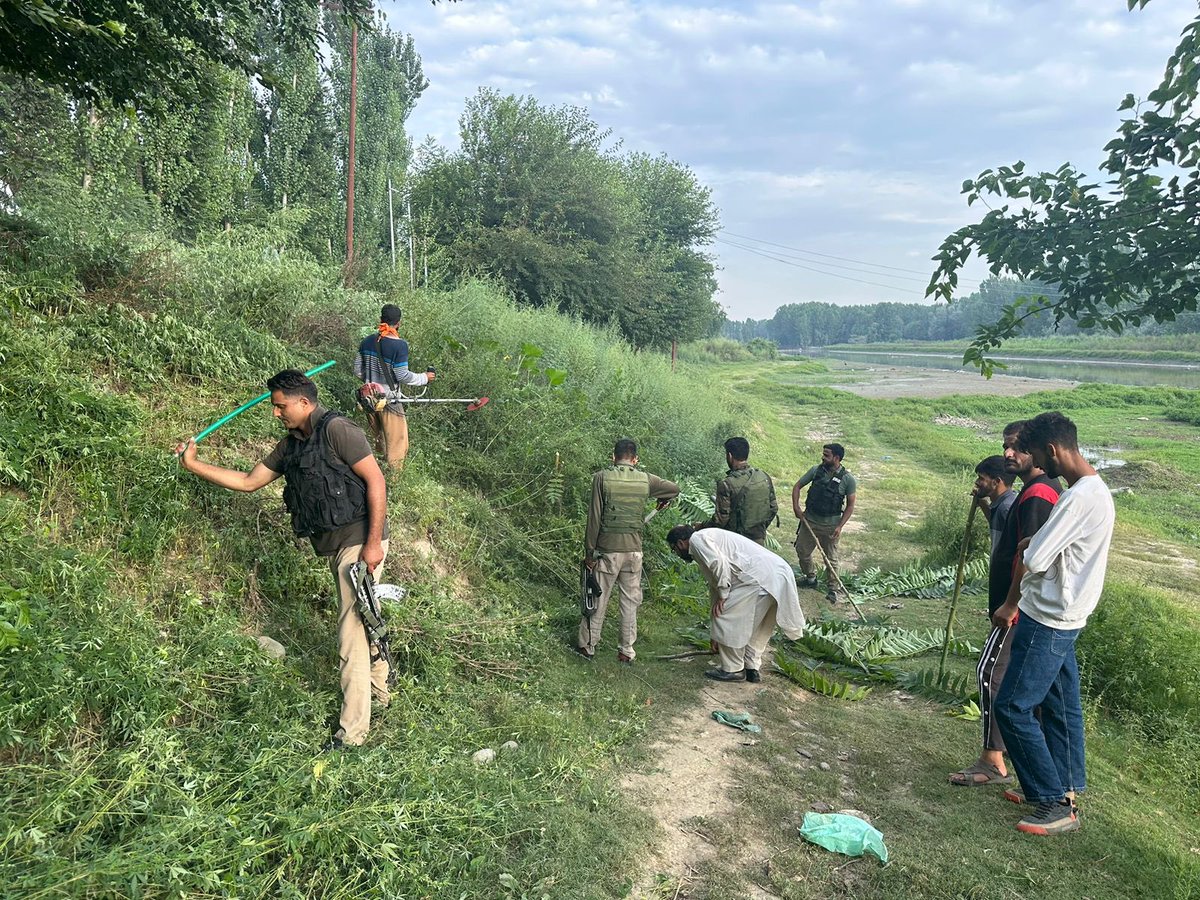 SrinagarPolice's tweet photo. Cannabis destruction drive is being carried out by srinagar police with citizens in different areas of distt. Public is requested to destroy such plants in their private lands as well. Further, the public departments are also requested to carry such drives on lands owned by them. https://t.co/bE0ymh829L