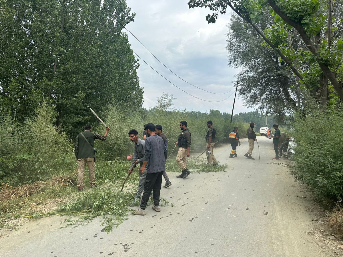 Cannabis destruction drive is being carried out by srinagar police with citizens in different areas of distt. Public is requested to destroy such plants in their private lands as well. Further, the public departments are also requested to carry such drives on lands owned by them.
