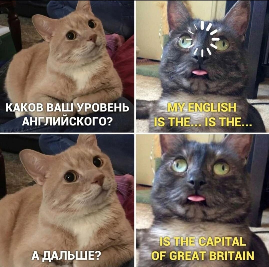 levanizm's tweet photo. Мой уровень английского: https://t.co/IDGxtwu8qB