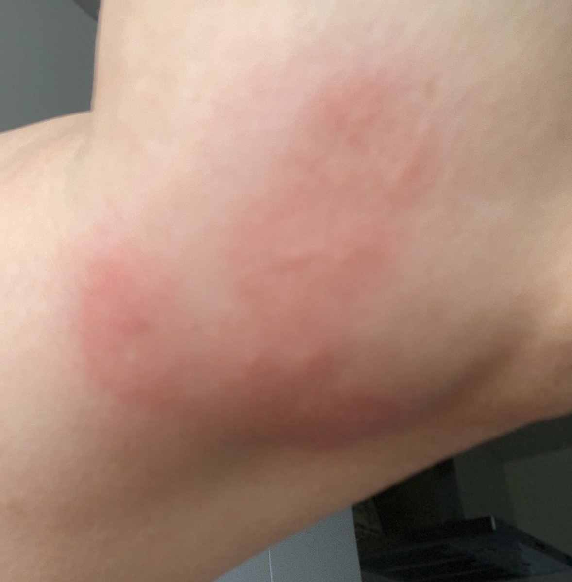 Nawal ⚡️ tweet media