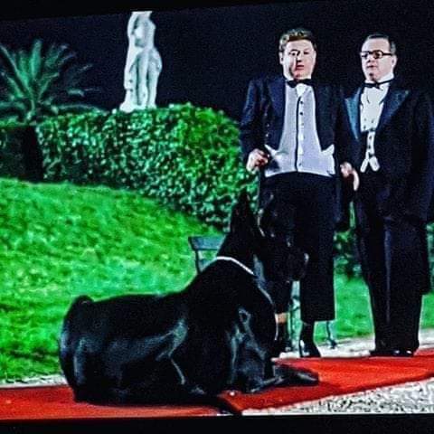 SamueleMollo's tweet photo. Ivan il Terribile XXXII, discendente diretto di Ivan il Terribile I, appartenuto allo Zar Nicola, leggendario campione di caccia al mugiko nella steppa, fucilato come nemico del popolo durante la Rivoluzione di Ottobre sulla Piazza Rossa.

#giornatamondialedelcane https://t.co/4Jwa4RH0ov
