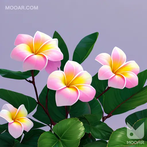 The_Orion_Man's tweet photo. Also known as frangipani, plumeria belongs to the dogbane family. These beautiful deciduous flowering shrubs were sacred to the Aztec and Maya cultures.
We have two plumeria plants in our garden, a white/orange and a pink one. Their aroma is exquisite!
#MOOARFlower #MOOAR https://t.co/cTLtrQG8pQ