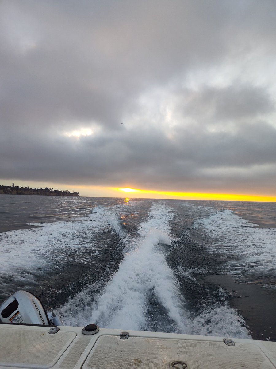 Johnny-kelphead tweet media