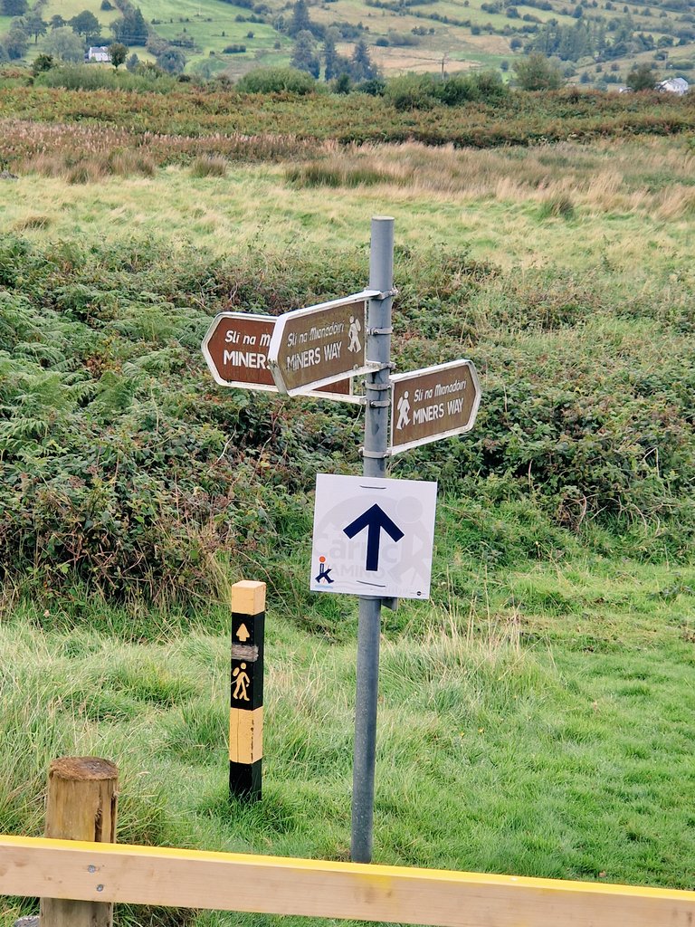 Paul Reid tweet media