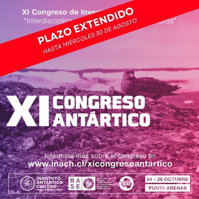 U-Antartica tweet media