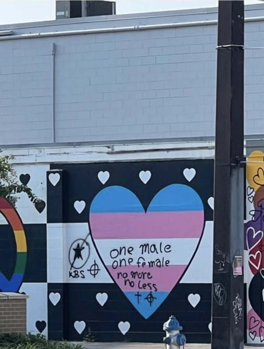 Rep. Anna V. Eskamani, PhD 🔨 tweet media