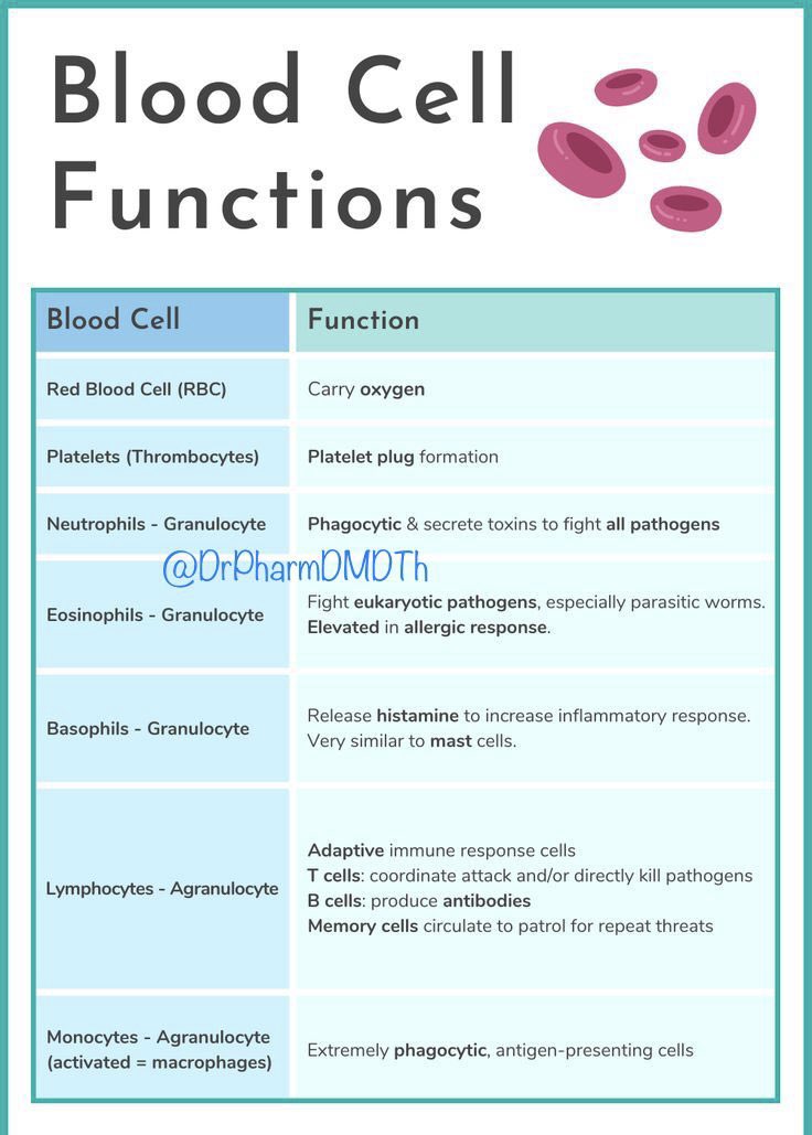 🩸Blood Cell Functions

#MedEd #medtwitter