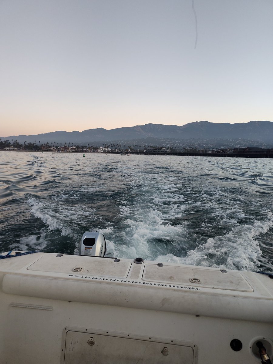 Johnny-kelphead tweet media