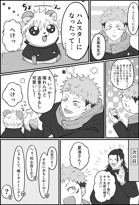 (とある画像を見ての)
ハムスターになった5⃣🐯 